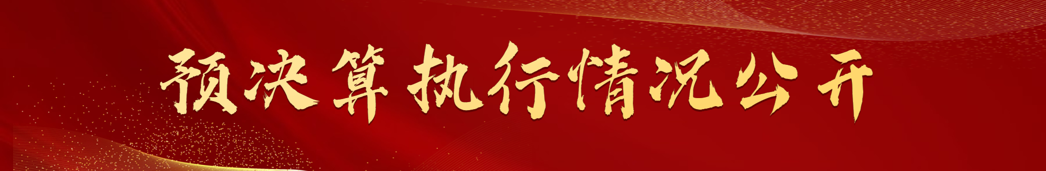 預決算執行情況公開2).jpg